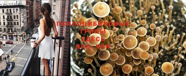 кокаин VHQ Нефтекумск